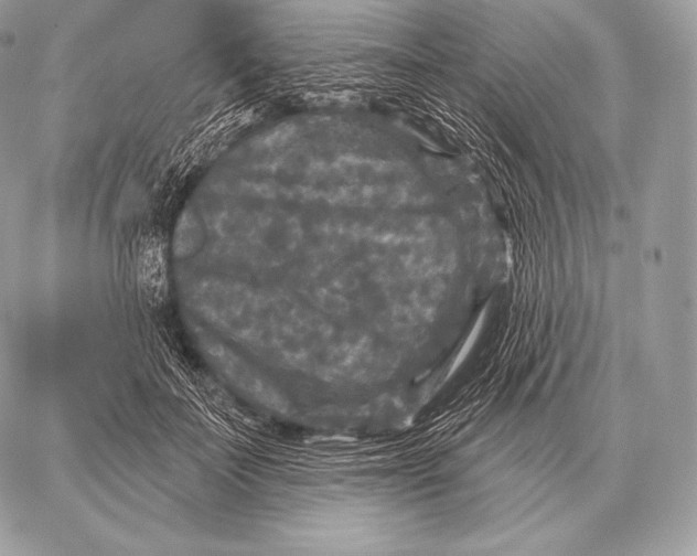 X0000059840699200511111745