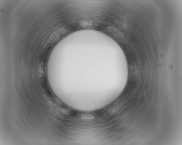 X0000059840702200511111745