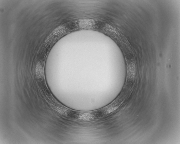 X0000059840705200511111745