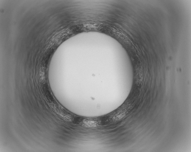 X0000059840706200511111745