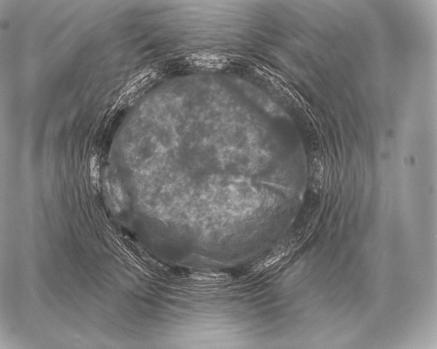 X0000059840707200511111745