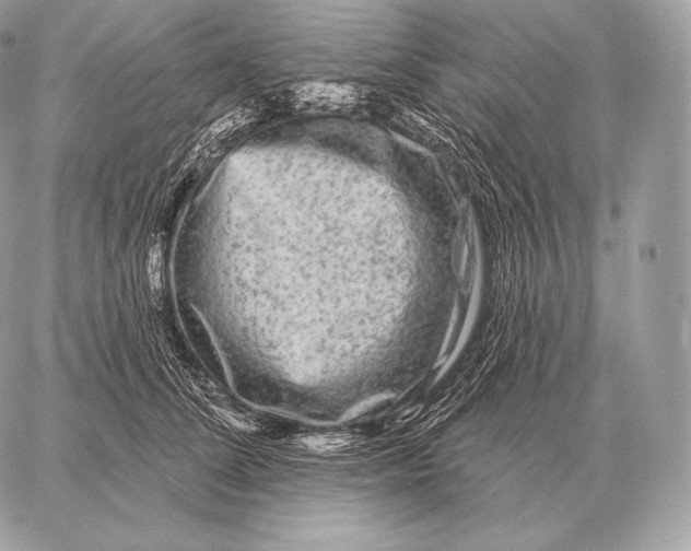 X0000059840708200511111745