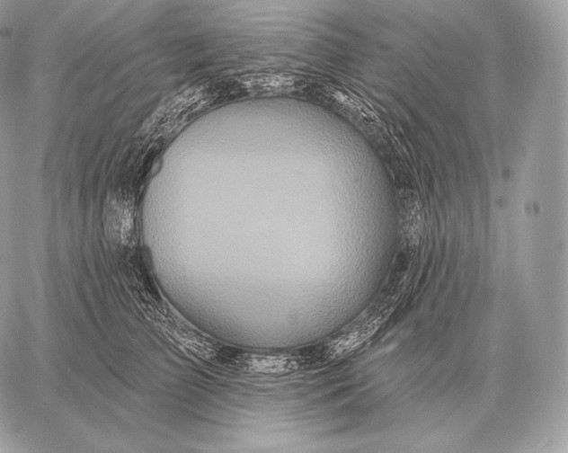 X0000059840709200511111745