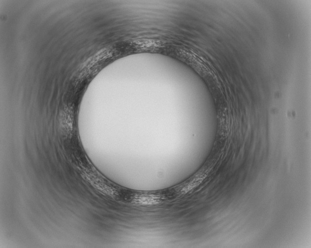 X0000059840710200511111745