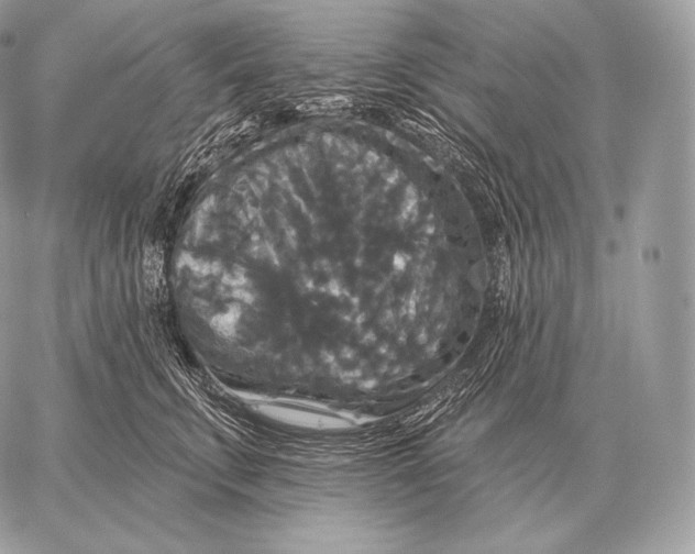 X0000059840711200511111745