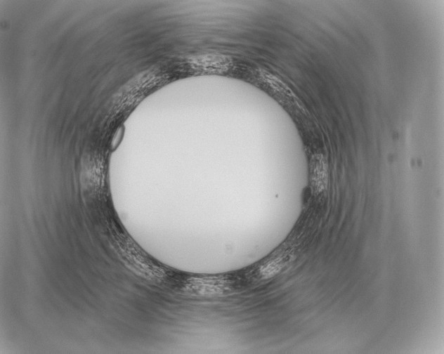 X0000059840713200511111745