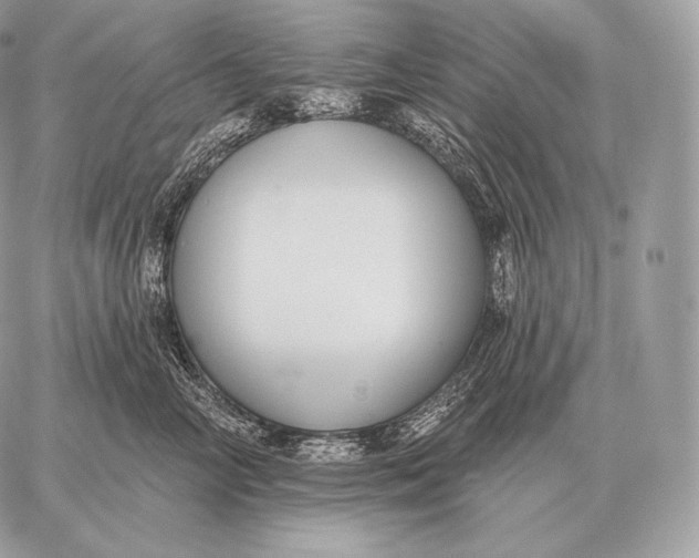 X0000059840714200511111744