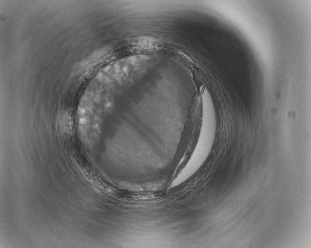 X0000059840715200511111744