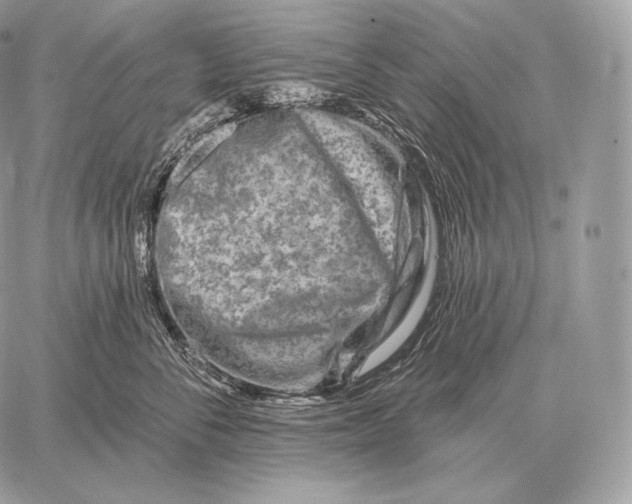 X0000059840716200511111744