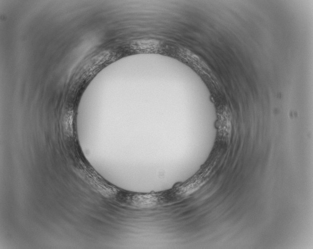 X0000059840717200511111744