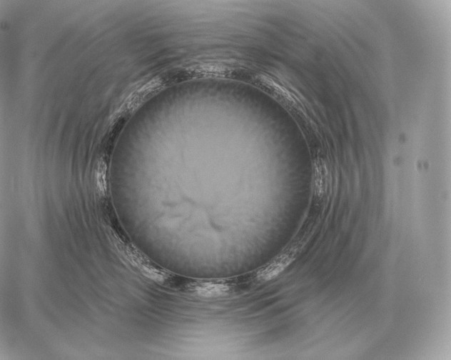 X0000059840718200511111744