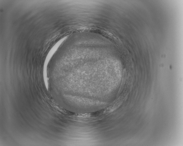 X0000059840720200511111744