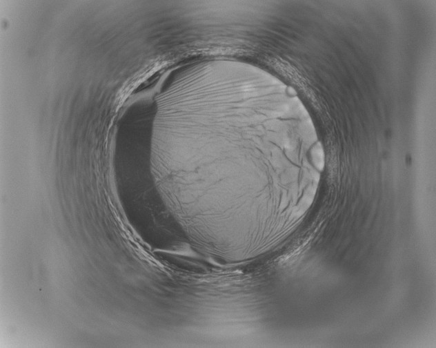 X0000059840721200511111744