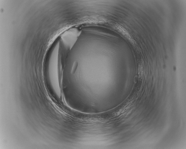 X0000059840722200511111744