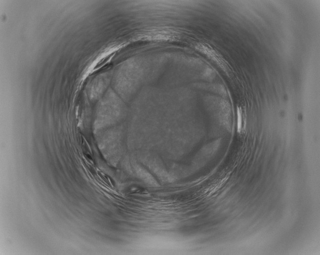 X0000059840723200511111744