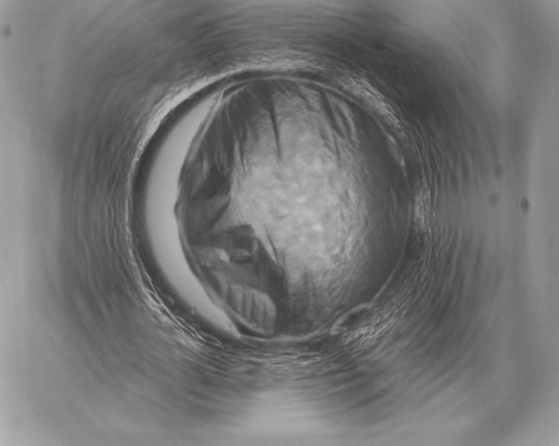 X0000059840724200511111744