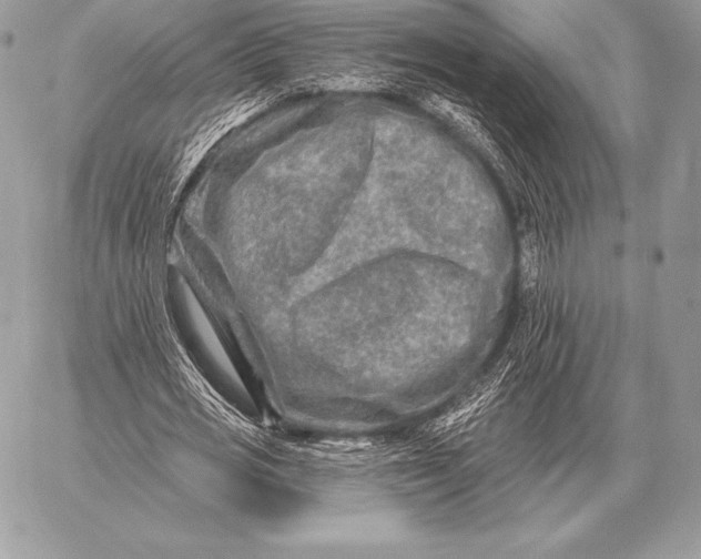 X0000059840725200511111744