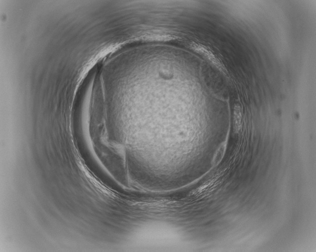 X0000059840726200511111744