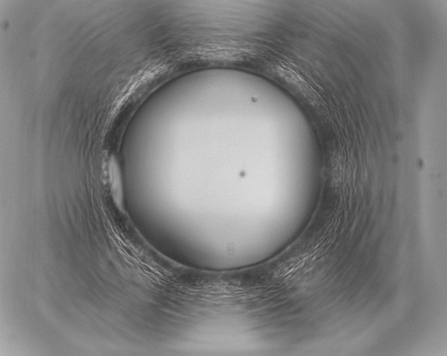 X0000059840731200511111744