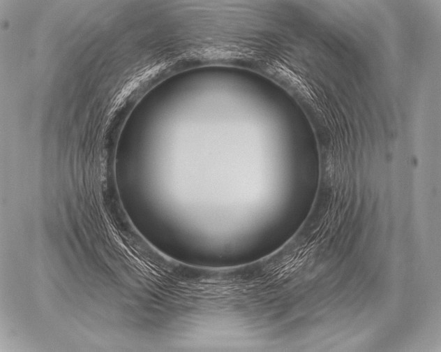 X0000059840732200511111744