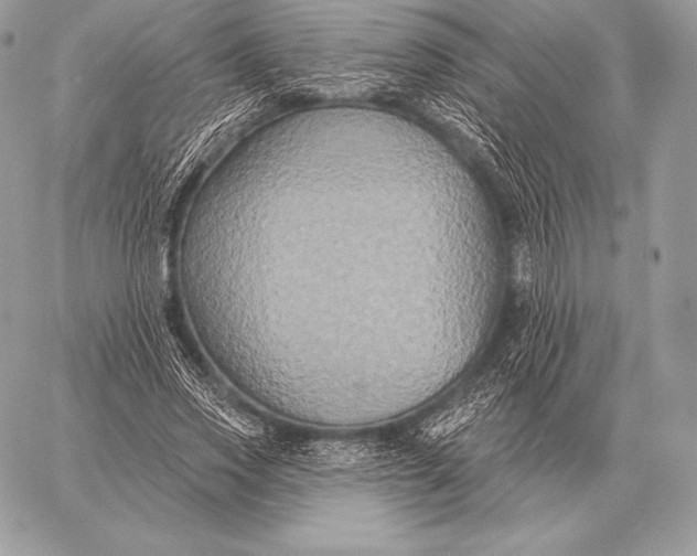 X0000059840733200511111744