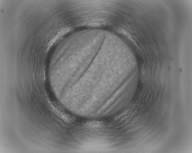 X0000059840734200511111744