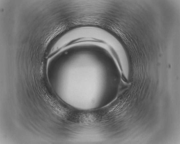 X0000059840735200511111744