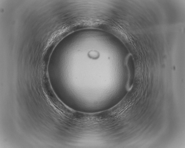 X0000059840736200511111744