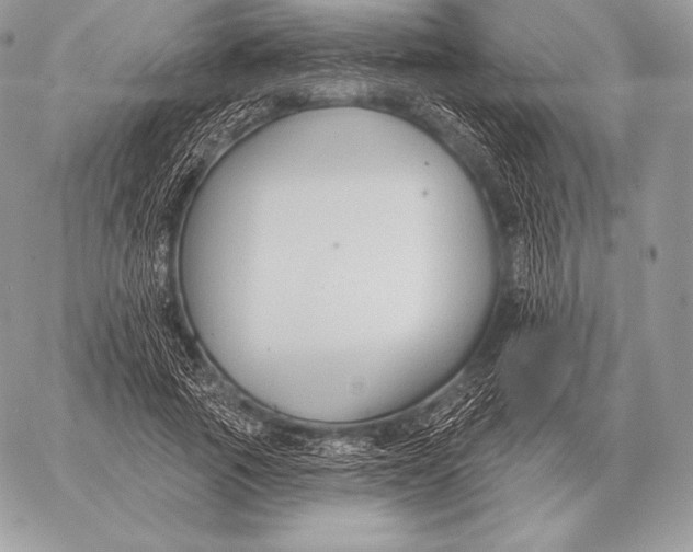 X0000059840737200511111744