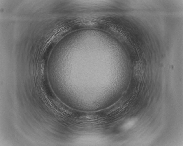 X0000059840739200511111744