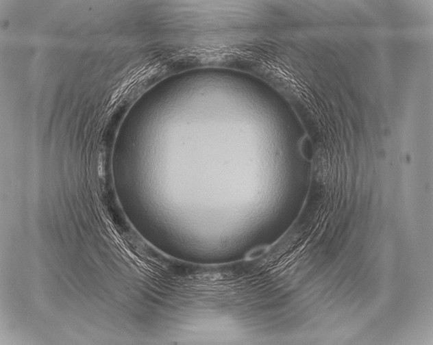 X0000059840740200511111744