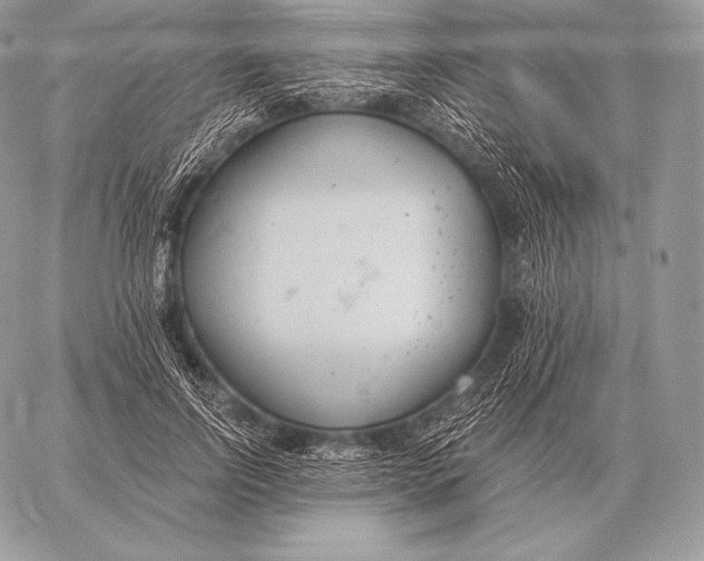 X0000059840742200511111744