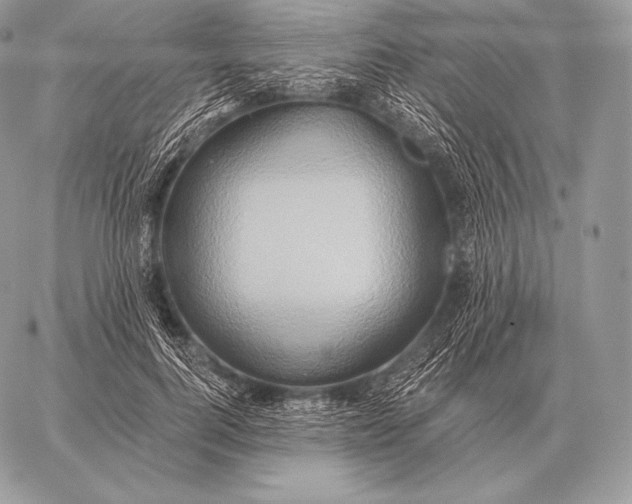 X0000059840744200511111744