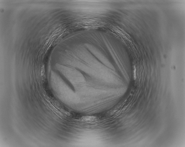 X0000059840748200511111744