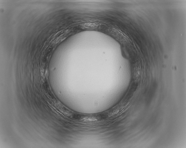 X0000059840749200511111744