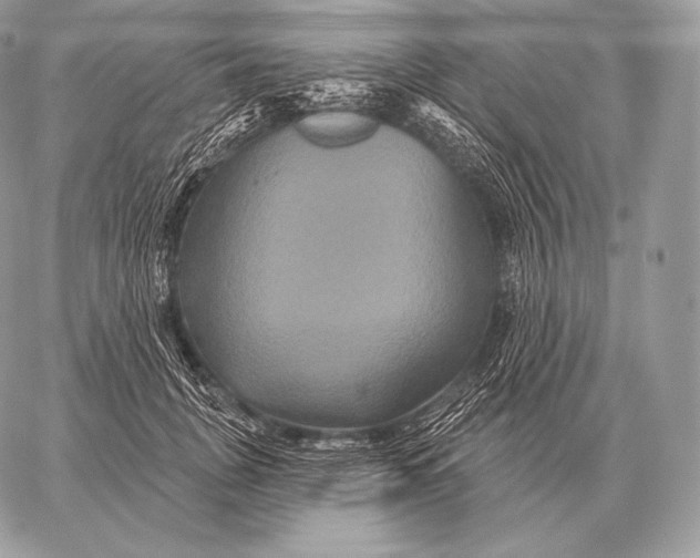 X0000059840751200511111744