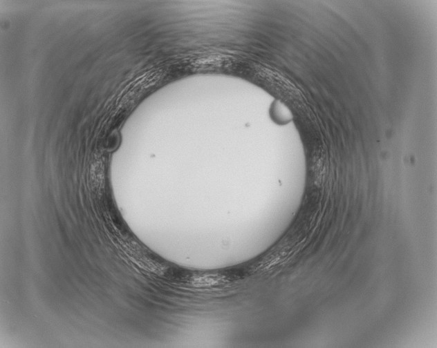 X0000059840753200511111744