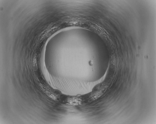 X0000059840754200511111744