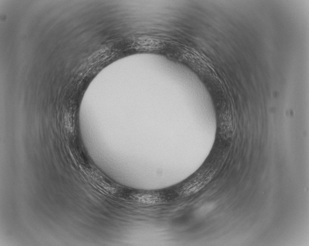 X0000059840755200511111744