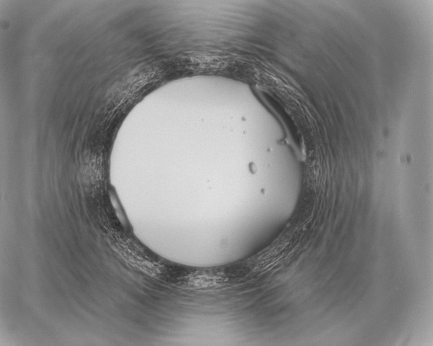 X0000059840756200511111744