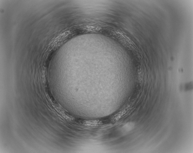 X0000059840757200511111744