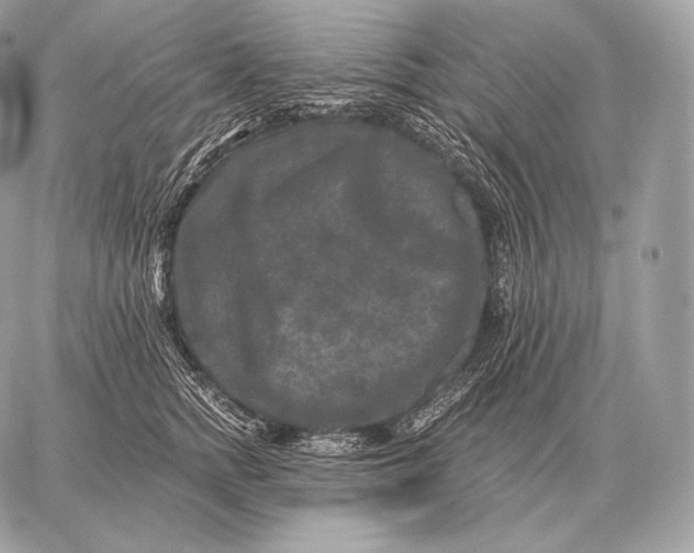 X0000059840758200511111744