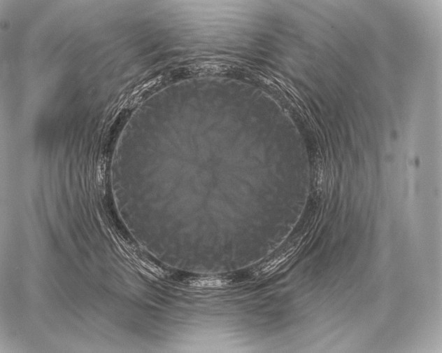 X0000059840759200511111744