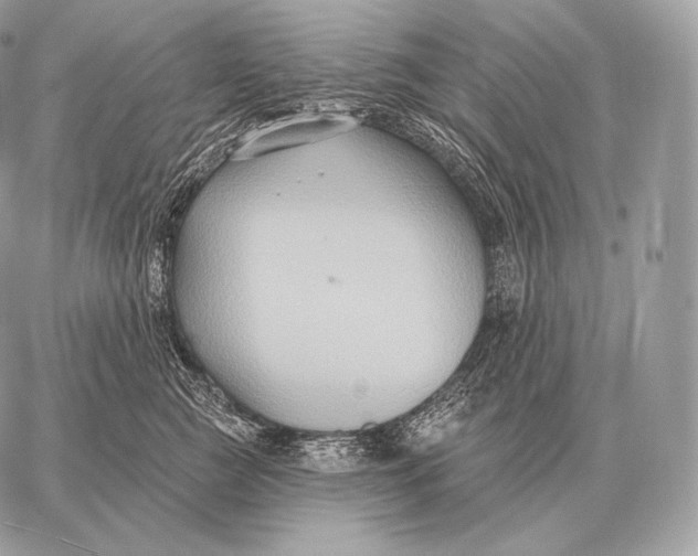 X0000059840761200511111744