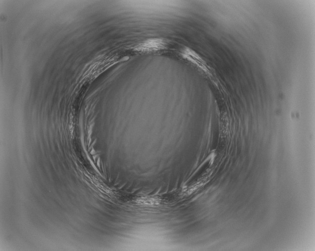 X0000059840762200511111744