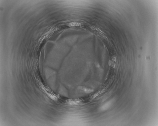 X0000059840763200511111744