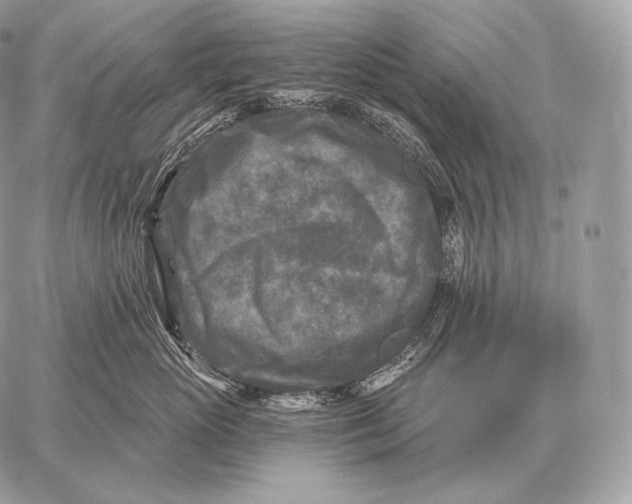 X0000059840765200511111744