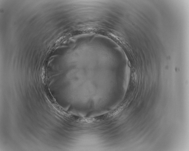 X0000059840767200511111744