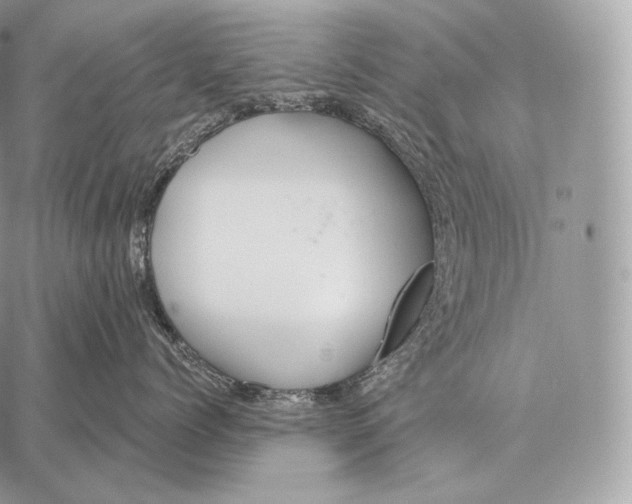 X0000059840768200511111744