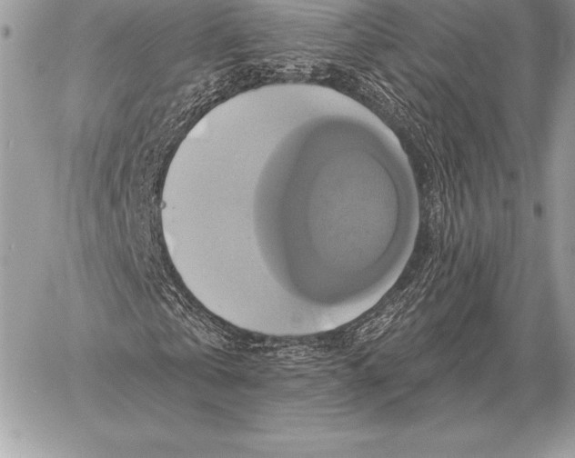 X0000059840769200511111744